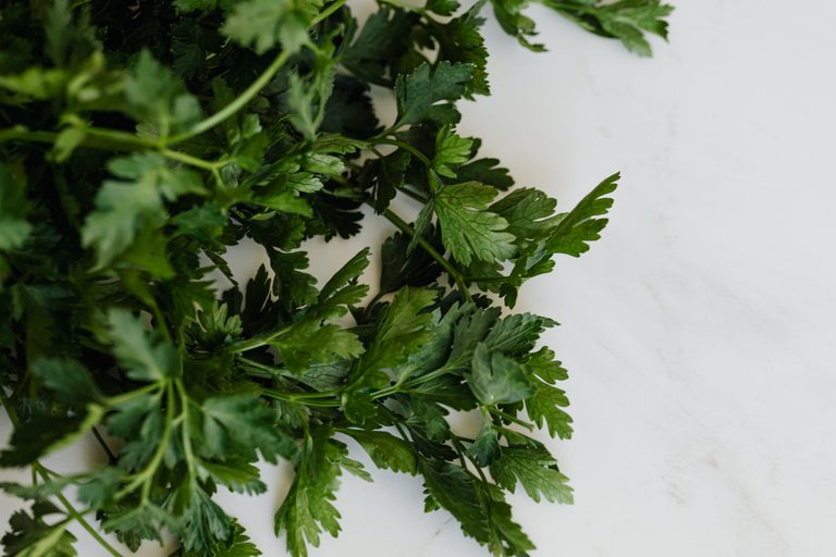 How to Keep Fresh Herbs Alive from the Supermarket